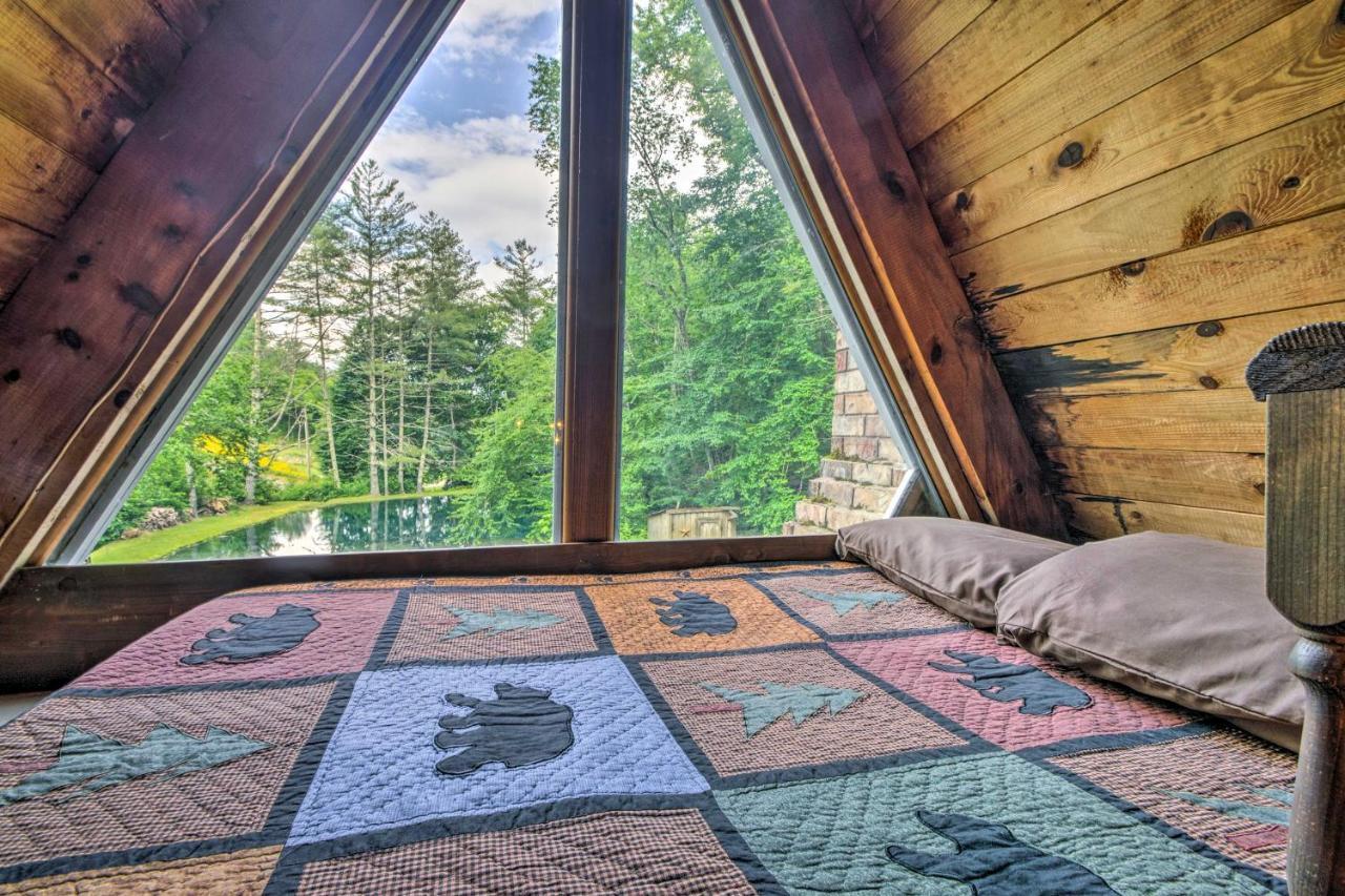 Serene Todd Getaway With Private Pond And Creek Views! Extérieur photo